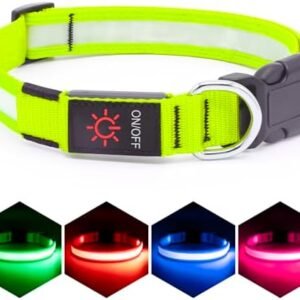 Vizpet LED Dog Collar, Light Up Dog Collar Adjustable USB Rechargeable Super Bright Safety Light Glowing Collars for Dogs(Medium,Green)