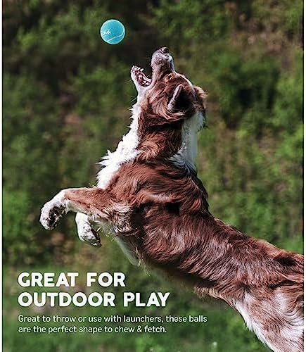 Outward Hound Squeaker Ballz Fetch Dog Toy, Medium - 4 Pack - Image 4