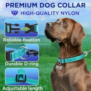 TECEUM Reflective Pet Collar – Teal – M – Basic Nylon Dog Collar – Quick Release Buckle – Fits Small, Medium and Large Dogs, Puppies, Cats – ESA & Service Dog Options