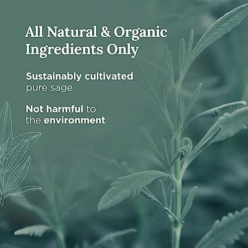 Magnificent 101 Set of 3 Long Lasting Pure Sage Smudge Candles, 42 Hour Burn - 3.5 Oz Each, Made of Soy Wax Candle for House Energy Cleansing, Meditation & Manifestation - Image 3