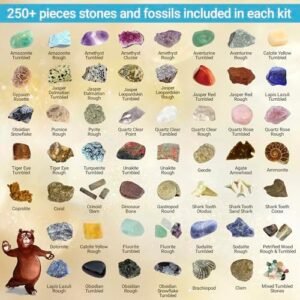 DANCING BEAR Rock, Mineral & Geodes Treasure Hunt Activity Kit (250 Pc Set) Real Shark Teeth Fossils, ID Sheet & Rock Book, STEM