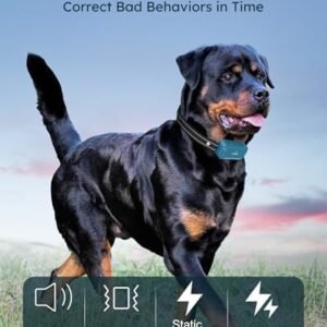 Jugbow Dog Shock Collar 2 Dogs – 4200FT Dog Training Collar with Remote, IPX8 Waterproof E Collar for Dogs Training Rechargeable Collars for Large Medium Small Dogs (10-120lbs)