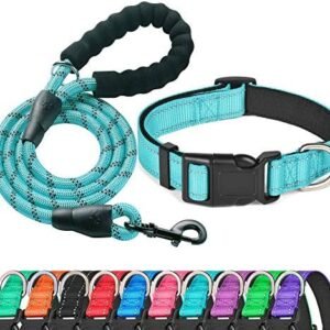 Reflective Dog Collar Padded with Soft Neoprene Breathable Adjustable Nylon Dog Collars for Small Medium Large Dogs (Medium (Pack of 1), Blue Collar+Leash)