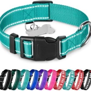 TECEUM Reflective Pet Collar – Teal – M – Basic Nylon Dog Collar – Quick Release Buckle – Fits Small, Medium and Large Dogs, Puppies, Cats – ESA & Service Dog Options