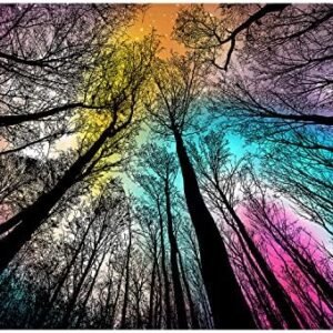 Bgraamiens Puzzle-Forest Under Starry Night-1000 Pieces Gradient Magic Colorful Puzzle for Adult,Hard Challenge Puzzle for Adult