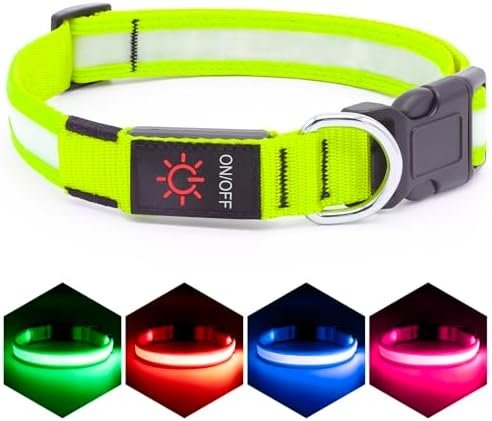 Vizpet LED Dog Collar, Light Up Dog Collar Adjustable USB Rechargeable Super Bright Safety Light Glowing Collars for Dogs(Medium,Green)
