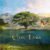 Tim Janis Celtic Lands Audio Instrumental Tracks for Meditation, Relaxation, and Stress Relief – Soothing New Age Melodies for Yoga and Massage Sessions- Calming Morning Tunes and Folk Music