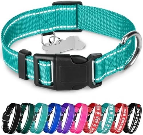 TECEUM Reflective Pet Collar – Teal – M – Basic Nylon Dog Collar – Quick Release Buckle – Fits Small, Medium and Large Dogs, Puppies, Cats – ESA & Service Dog Options